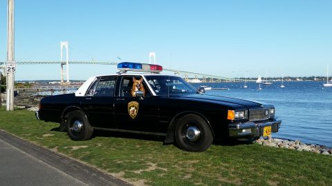 1991 Ford LTD Crown Victoria - Police car with a dog in the driver's seat parked near a bridge and the water.