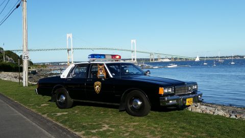 1991 Ford LTD Crown Victoria - Photo of a black and white Chevrolet Caprice police car by a bay with a dog inside, not a technical document.