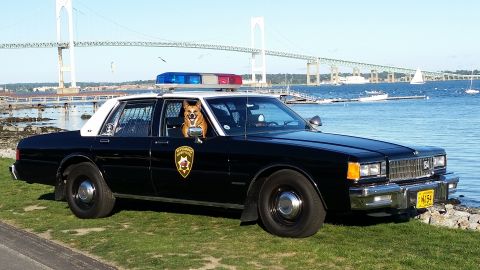 1991 Ford LTD Crown Victoria - Photo of a black and white Chevrolet Caprice police car at the waterfront with a dog inside, not a technical document.