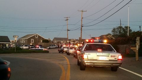 1991 Ford LTD Crown Victoria - Photo of a parade of police cars with emergency lights on a coastal street at dusk.