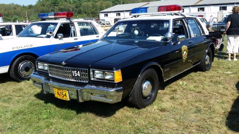 1991 Ford LTD Crown Victoria - A black and white police car with a light bar on top is parked on grass next to another police car. The black car has a shield emblem on th…