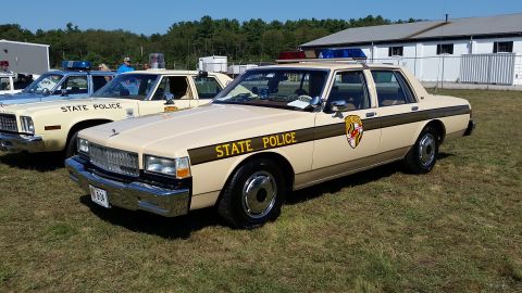 1991 Ford LTD Crown Victoria - A tan police car is parked on grass next to another similar vehicle.