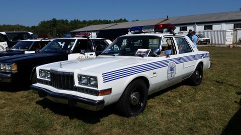 1991 Ford LTD Crown Victoria - A white police car with blue stripes and a light bar is parked on grass next to other vehicles.