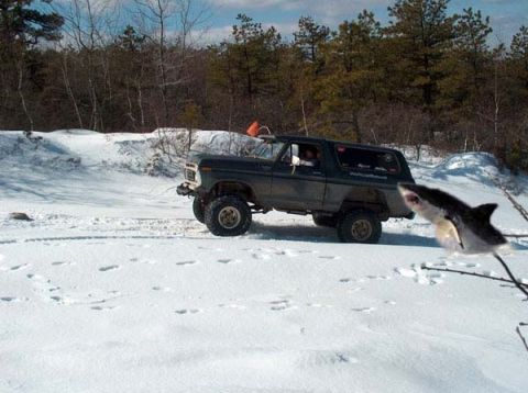 1979 Ford Bronco - A 1978 Ford Bronco is seen in a snowy landscape, with a shark graphic added to the scene.
