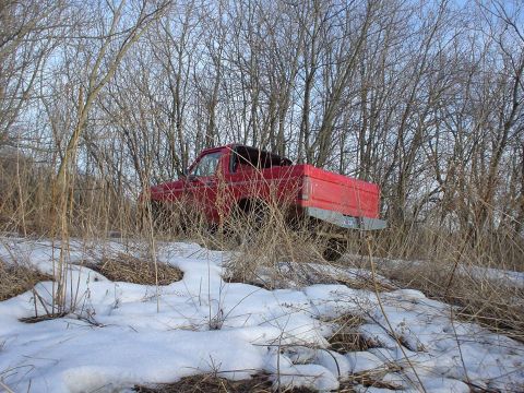 1980 Ford Bronco - Through the weeds