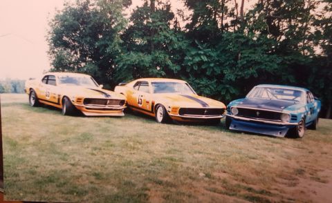 1973 Ford Mustang - Three vintage Ford Mustangs, two yellow and one blue, are lined up on a grassy field with trees in the background.