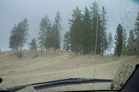 1995 Ford Bronco - A white SUV navigates a dusty, off-road path surrounded by pine trees under an overcast sky.
