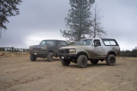 1995 Ford Bronco - Two 1995 Ford Broncos are parked on a dirt road, appearing to have been off-roading.