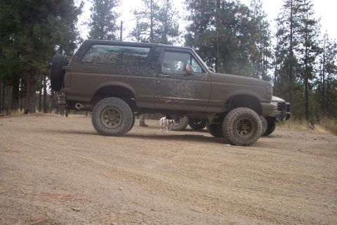 1995 Ford Bronco - A dirty SUV sits on a dirt path, with a second vehicle partially obscured behind it in a wooded area.