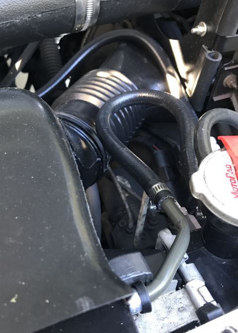 1995 Ford Bronco - Close-up view of engine bay components, including hoses and a red MotoRad cap.