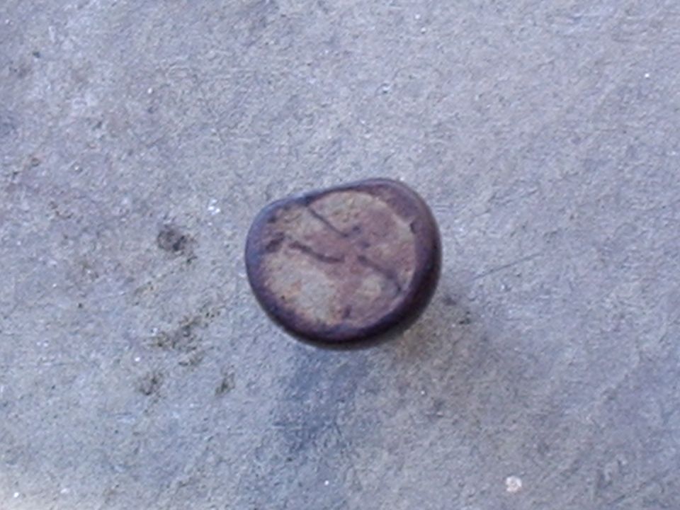 Small round rusty rivet or bolt head lying on gray concrete
