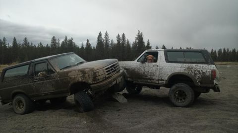 1995 Ford Bronco - Two Ford Broncos are stuck in the mud off-road, with a dog looking out the window of one.