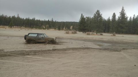 1995 Ford Bronco - A brown Ford Bronco is stuck in the mud, with trees and an overcast sky in the background.