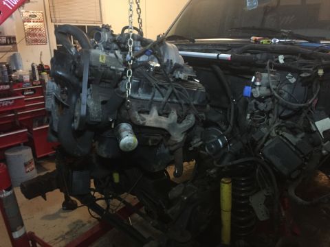 1995 Ford F-150 - The engine is suspended by chains, indicating it is in the process of being removed or installed in a vehicle.