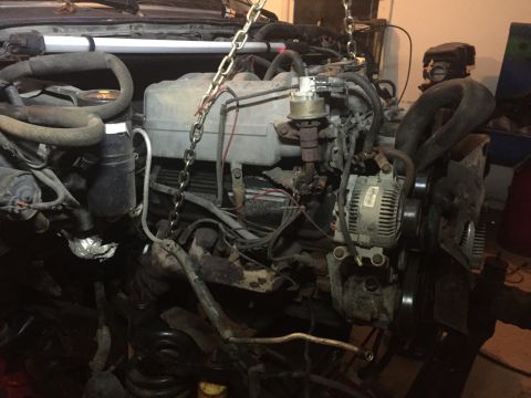 1995 Ford F-150 - Engine assembly being worked on, with visible components like the alternator and various hoses.