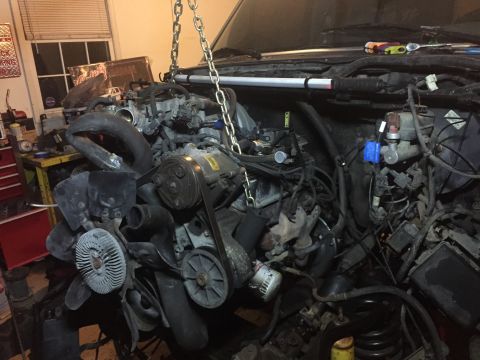1995 Ford F-150 - Engine assembly suspended by chains, revealing intricate mechanical components and wiring harnesses.