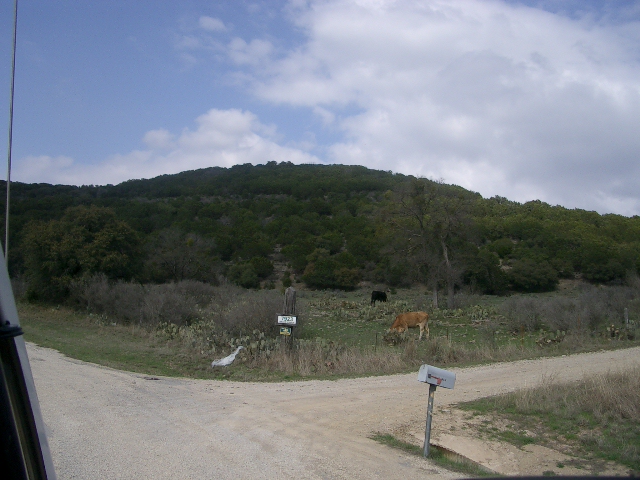 Rural scene with a dirt road, mailbox, two cows grazing, and a tree-covered hill under a cloudy sky