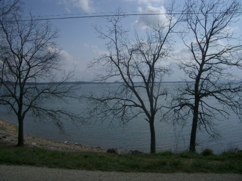 1994 Ford Bronco - A landscape bare trees and a calm lake under a partly cloudy sky.