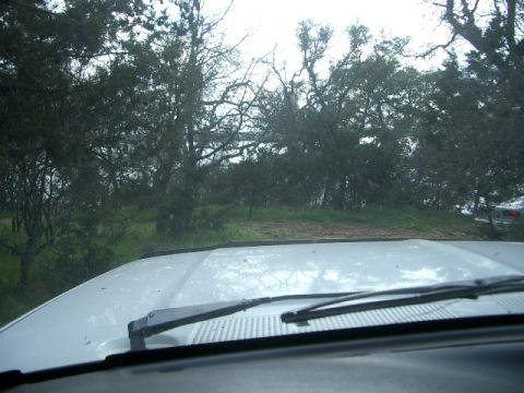 1994 Ford Bronco - View from inside a white vehicle, looking over the hood towards trees and water.