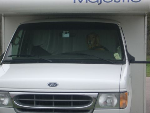 1994 Ford Bronco - A dog appears to be driving a Ford van, with a note stuck to the windshield.
