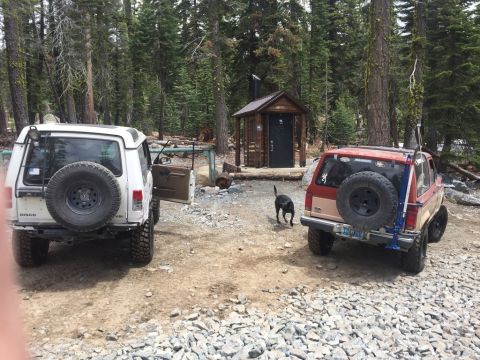 1987 Ford Bronco II - Two SUVs are parked in a wooded area next to a small outhouse, with a dog walking nearby.