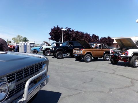 1969 Ford Bronco - A line of classic Ford Broncos are parked on asphalt under a clear blue sky. The Broncos are various colors including black, brown, and whi…