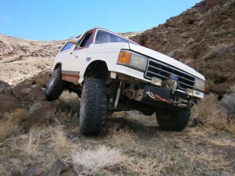1984 Ford Bronco - A white and brown Ford Bronco is navigating a rocky, off-road trail with its front tire lifted high off the ground. The vehicle is equipped…