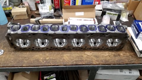 1981 Ford Bronco - Engine cylinder head with multiple intake and exhaust ports, placed on a wooden surface with various workshop items in the background.
