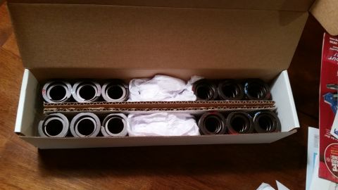 1981 Ford Bronco - A cardboard box contains rows of valve springs, some individually wrapped in white paper.