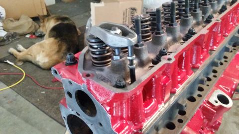 1981 Ford Bronco - A close-up, angled view of a red engine cylinder head with valve springs and rocker arms visible. In the background, two German Shepherd do…