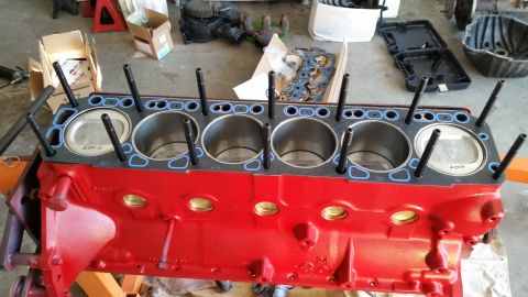 1981 Ford Bronco - A red engine block with silver valve covers is visible.