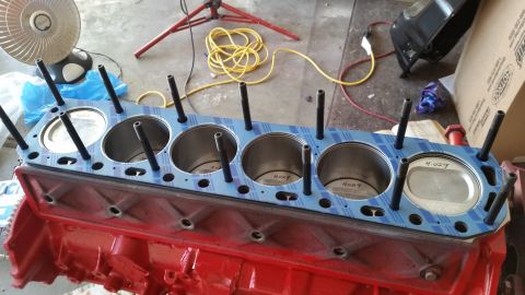 1981 Ford Bronco - A close-up view of a red V8 engine block with a blue gasket and pistons installed. The pistons are marked with "4.029" and studs are visibl…