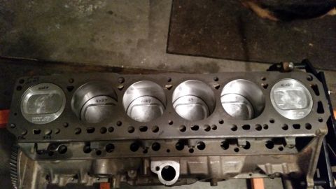 1981 Ford Bronco - A close-up, overhead view shows the pistons and cylinder bores of a V6 engine block, with the number "4029" visible on multiple pistons. Th…