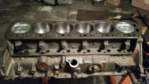 1981 Ford Bronco - A close-up view of a V8 engine block with pistons installed in the cylinders. The engine is on an orange engine stand in a garage setting.