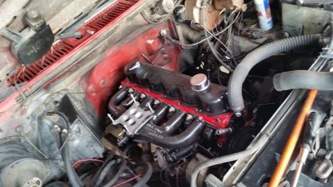 1981 Ford Bronco - Close-up view of a V8 engine in a vehicle's engine bay, showing the intake manifold and exhaust headers.