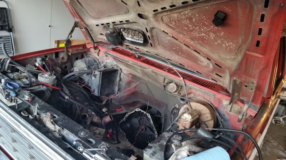 1981 Ford Bronco engine bay with hood open, showing engine components and wiring