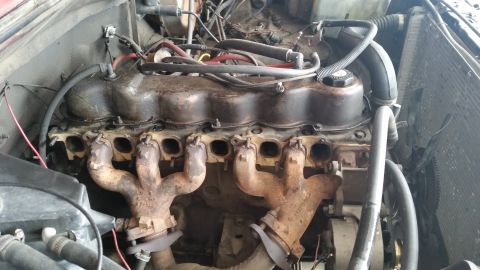 1981 Ford Bronco - Engine bay view of a V8 engine with visible exhaust manifolds and coolant hoses.