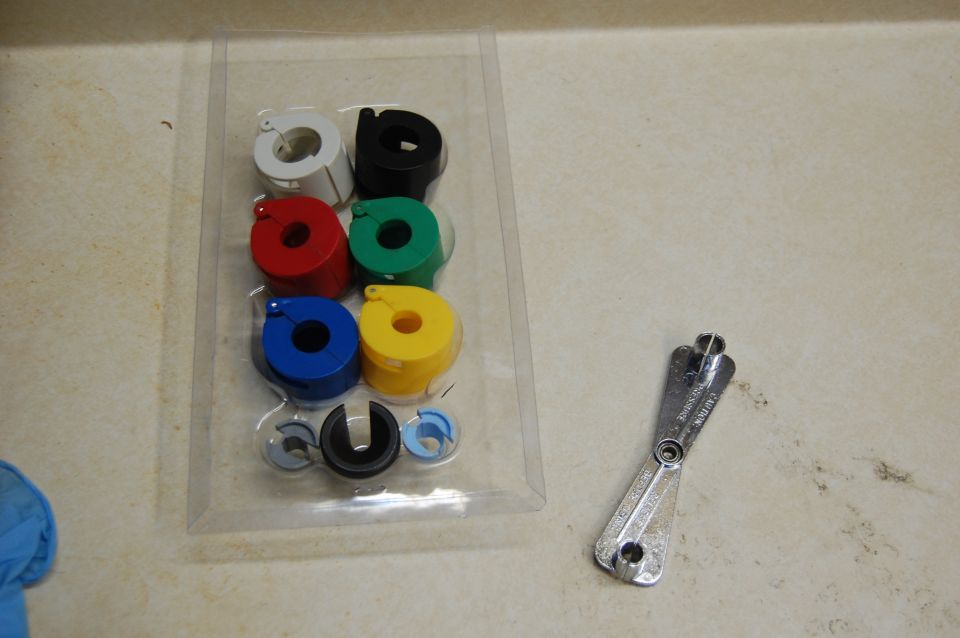 Set of colored hose crimpers and a metal tool on a countertop.
