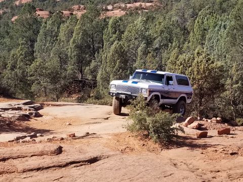 1995 Ford Bronco - A white and blue 1978-1979 Ford Bronco is shown off-roading on a rocky, desert trail with green trees in the background.