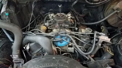 1984 Ford Bronco photo