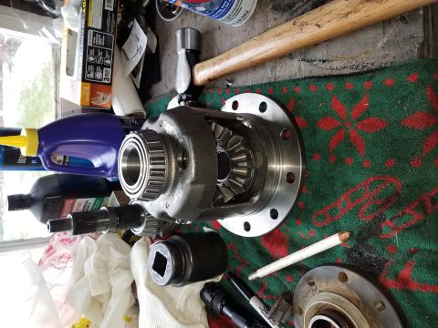 1996 Ford Bronco - A differential assembly is shown with various tools and fluids, suggesting a repair or maintenance context.