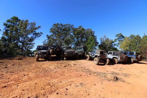 1995 Ford Bronco - A line of off-road vehicles, including Jeeps and a Ford Bronco, are parked on a dirt trail surrounded by trees under a clear blue sky.