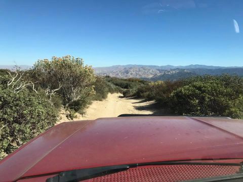 1989 Ford Bronco