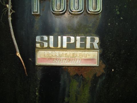1967 Ford F-250