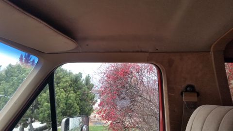 1985 Ford Bronco - Interior view of a vehicle's headliner and upper door frame, looking out a side window at trees with red berries.