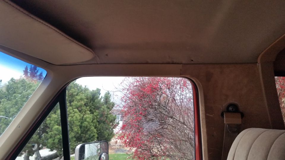 Interior view of a vehicle's headliner and upper door frame, looking out a side window at trees with red berries.