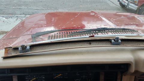 1985 Ford Bronco - The cracked hood and windshield of a red 1980s Ford Bronco are visible from an interior perspective, looking out over the dashboard.