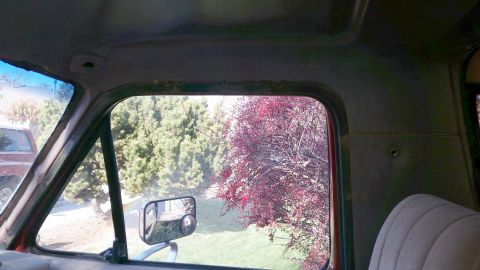 1985 Ford Bronco - View from inside a vehicle, looking out the passenger side window at trees and a side mirror. The interior shows the headliner and part of…