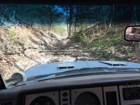 1985 Ford Bronco II - Disney OK. 4/20/17