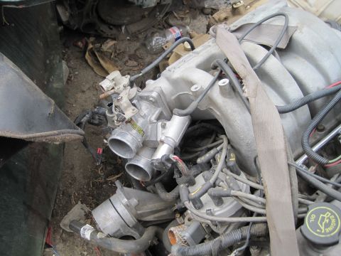 1989 Ford Bronco - Close-up view of engine components, including the intake manifold and throttle body, in a junkyard setting.